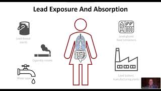 Anemia due to Lead Intoxication [upl. by Faustina]