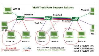 VLAN Configuration StepbyStep [upl. by Suiramad]