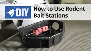 How to Use Rodent Bait Stations [upl. by Christalle]