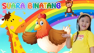 LAGU ANAK BALITA SUARA BINATANG  AYASHA  UYYUS FUN VIDEO [upl. by Deloris]