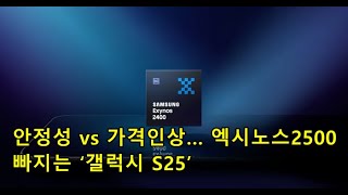 안정성 vs 가격인상… 엑시노스2500 빠지는 ‘갤럭시 S25’ Stability vs Price Increase quotGalaxy S25quot without Exynos 2500 [upl. by Llerehs]