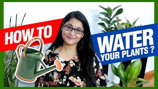 Correct way of Watering House Plants  How to water plants gardening watering plants [upl. by Otter]