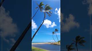 KAHALA BEACH ⛱️ Hawaii John Shorts hawaii honolulu waikiki [upl. by Ralyt98]