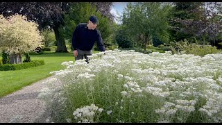 Danish Church Garden Tour  Perennial Garden [upl. by Suravat]