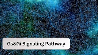 GsGi Signalling Pathway  Biochemistry  Kinnaird College [upl. by Sheldon]