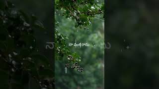 💓నువ్వంటే పుట్టినట్టు 💓shorts song love [upl. by Yoj]