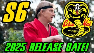 Cobra Kai Season 6 2025 RELEASE DATE [upl. by Lacefield]