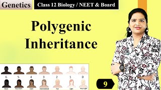 Polygenetic Inheritance  Genetics  Biology [upl. by Dion160]