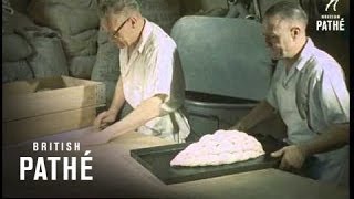 Bread Sculptor 1957 [upl. by Shornick]