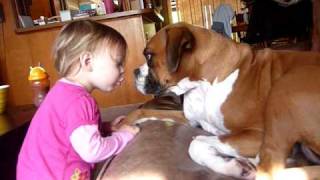 Zia The Boxer Gets Kisses From Milan [upl. by Naman]