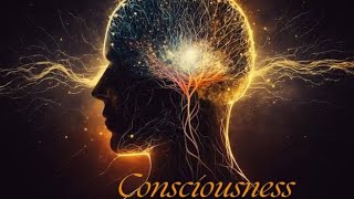 The Consciousness Debate Brain Activity or Soul Essence [upl. by Laurena]