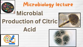 Citric acid production  Microbial Production of Citric Acid  Industrial production of Citric acid [upl. by Deny]