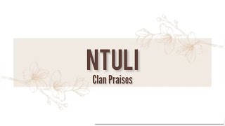 NTULI Clan Praises  Izithakazelo zakwa Ntuli  Tinanatelo by Nomcebo The POET [upl. by Ahsemak]