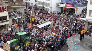 Fasnacht Umzug Liestal 2019 [upl. by Ygiaf]