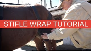 Holistic Equine Therapy Leg Saver STIFLE WRAP TUTORIAL [upl. by Omocaig555]