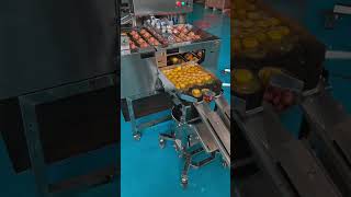 液蛋機 蛋黃蛋白分離 Egg Breaking Machine Egg Fluid Extractor Egg Breaker 自動打蛋機 自動敲蛋機 打蛋机 敲蛋机 蛋液提取机 [upl. by Eniortna493]