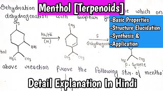 Menthol TerpenoidsNatural Product Organic Chemistry Structure ElucidationSynthesis ampApplication [upl. by Balsam952]