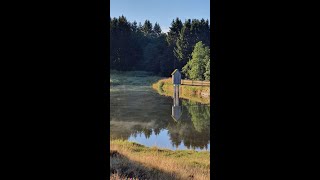 Oberharz Zellerfeld und Zellerfelder Tal In der Dämmerung Fahrt 051224 [upl. by Hynes]