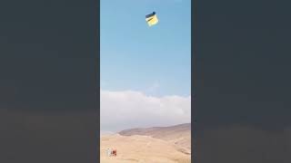 Yellow Beauty kite kitefying kiteflying fypシ゚viral [upl. by Bough694]