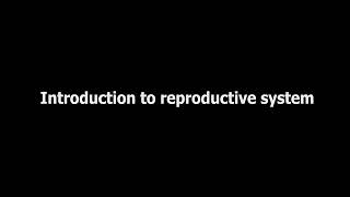 Reproductive system  Fundamentals of Biology [upl. by Hullda]