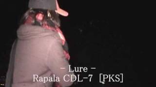 RAPALA CDL7 ★ シーバス ラパラ [upl. by Grosberg]