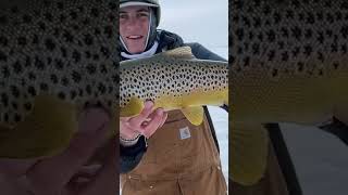 Who is EXCITED about ICE FISHING fishing icefishing trout fish troutfishing troutbum [upl. by Carlynn]