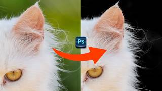 Quick Way to Remove Complex Background in Photoshop 2024 [upl. by Gnik]