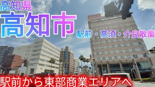 高知市ってどんな街 高知最大の32万人都市！駅前中心市街地から市東部郊外商業通り“高須・介良”へ【高知県 県庁所在地】2024年 [upl. by Ruel]