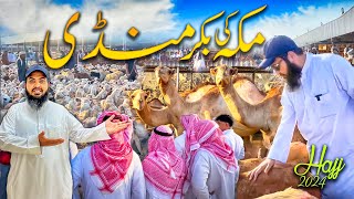 Makkah ki bakra Mandi hajj season 2024  Latest hajj 2024 updates [upl. by Cavanagh817]