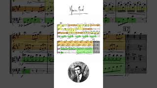 Ravel Quartet Scherzo 23 [upl. by Idolah]