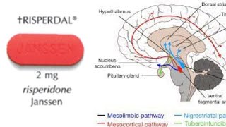 Risperdal Risperidone  How it Works Why its Used and Side Effects [upl. by Icam]