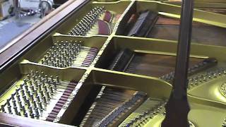 Grieg Piano Concerto Op 16 A Minor 1st Movement [upl. by Bohs]