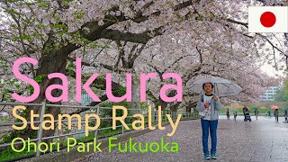 Sakura Stamp Rally  Fukuoka  Japan [upl. by Smeaj415]