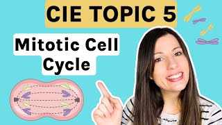 Mitosis and the Cell Cycle  Entire topic CIE Alevel Biology Topic 5 [upl. by Sanger]