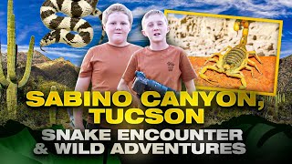 Boys Discover the Wilderness of Arizona Sabino Canyons Wildlife and Stunning Landscapes in Tucson [upl. by Ahsekal]