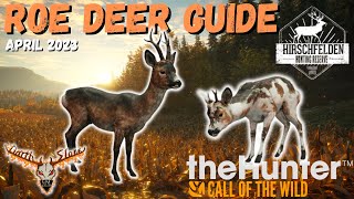 Hirschfelden Roe Deer Guide April 2023 the Hunter Call of the Wild [upl. by Raveaux393]