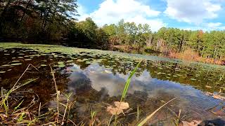 Fall In Crawfordville Georgia [upl. by Jacques]