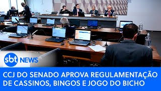 CCJ do Senado aprova regulamentação de cassinos bingos e jogo do bicho [upl. by Hezekiah]