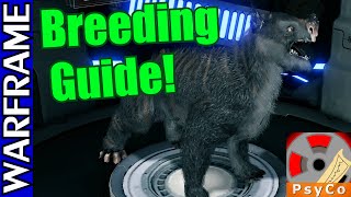 Warframe Kubrow Breeding Guide 1080HD [upl. by Hocker]