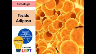 Tecido Adiposo  Histologia Básica [upl. by Yanal]