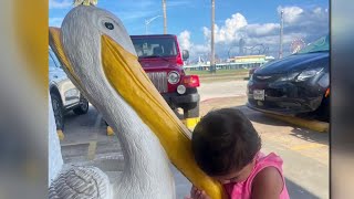 Giant concrete pelican stolen from outside Galveston seafood restaurant [upl. by Justina]