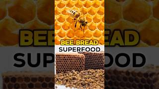 What Bee Bread will do to your body Everyone should take this superfood royaljelly honey bee [upl. by Asha]