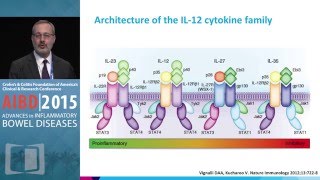 New Biologic Therapies that Target the IL1223 Pathway [upl. by Mccomb]