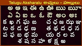 Kids Learn Telugu varnamala achulu hallulu padalu in telugu  Learn Telugu Alphabets Aksharamala [upl. by Blodgett]