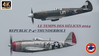 REPUBLIC P 47 THUNDERBOLT Fête Aérienne Le Temps des Hélices 2024 CERNY  LA FERTE ALAIS [upl. by Nileuqcaj]