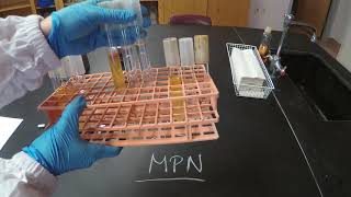 Most Probable Number MPN  Microbiology [upl. by Lyred]