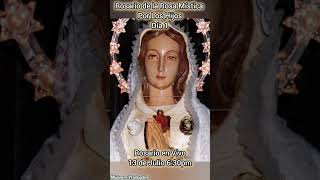 Rosario a la Rosa Mística Día 1 rosamística jesus dios mama oração virgenmaria rosario hijos [upl. by Aronid546]