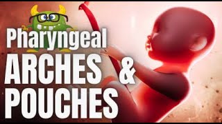 Pharyngeal Pouches amp Arches Mnemonic for USMLE [upl. by Fanchet507]