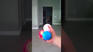 Dog and squeaking Balls reverse video [upl. by Kotick]