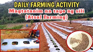 BUHAY BUKID EP 8  MALAKING KITAAN SA SILI KAYA MAGTATANIM ULIT TAYO MGA KARELATIVES [upl. by Onra]